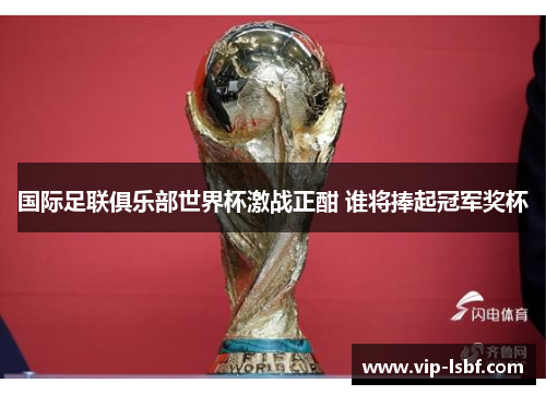 国际足联俱乐部世界杯激战正酣 谁将捧起冠军奖杯